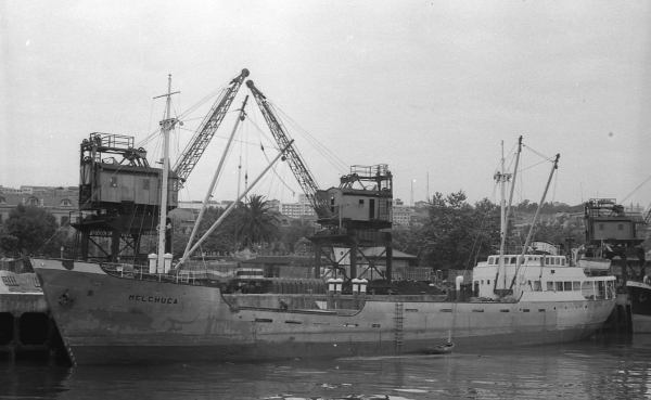 Melchuca by T. Diedrich Melchuca by T. Diedrich